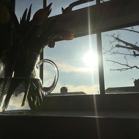 Brighton Boutique Garden Studio With Free Parking Exterior foto